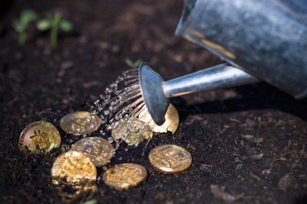 Investor: Value of Crypto Dropped, But Industry is Growing Rapidly