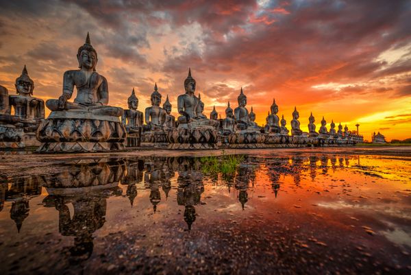 Trading Activities of Crypto Exchange Zipmex Suspended in Thailand